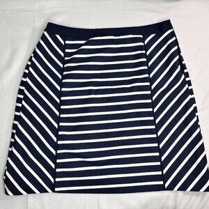 The Limited Navy Blue and White Stripe Cotton Women's Skirt Size 6 Preppy A-line